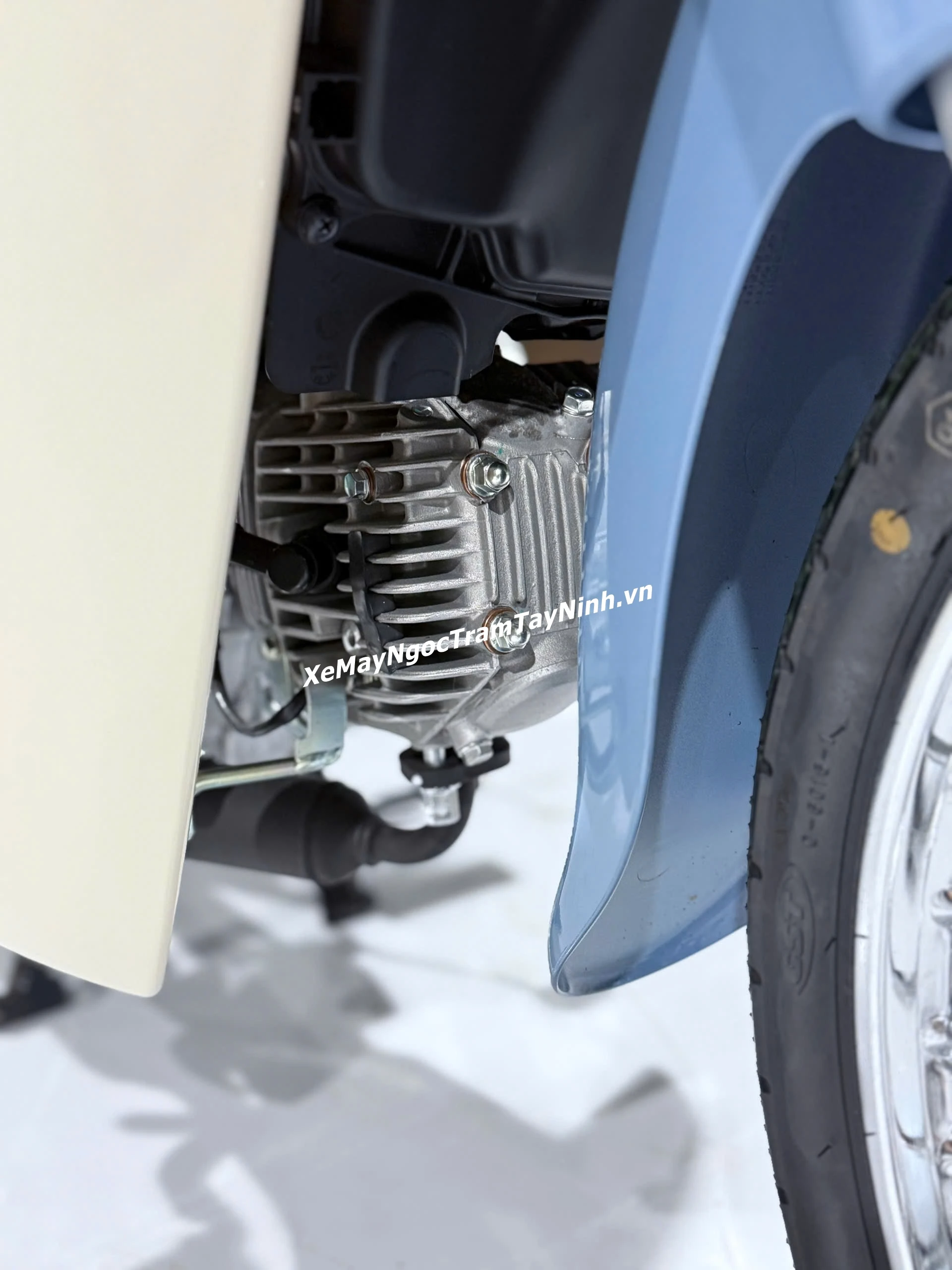Hôm nay Ngọc Trâm Tây Ninh giao tận nhà Honda Super Cub 50 Final Edition giao Dầu Tiếng 30 Hom nay Ngoc Tram Tay Ninh giao tan nha Honda Super Cub 50 Final Edition giao Dau Tieng 10