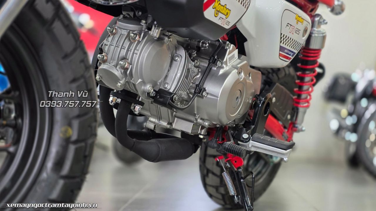 Honda Monkey FTR 125 Limited Edition – Mini Tracker nhỏ nhưng cực chất, cực độc 10 Honda Monkey FTR 125 Limited Edition