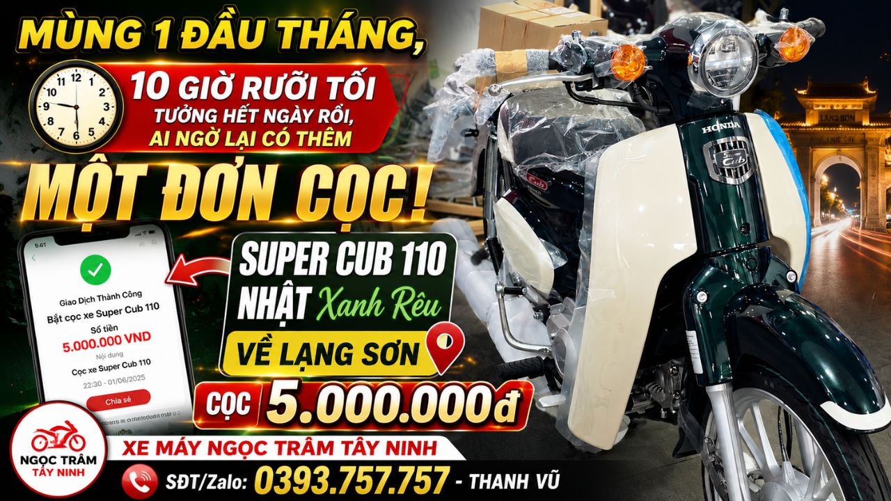 Honda Super Cub 110 Nhật xanh rêu chốt đơn lúc 22h30 mùng 1, về Lạng Sơn 17 Honda Super Cub 110 Nhật xanh rêu chốt đơn lúc 22h30 mùng 1, về Lạng Sơn